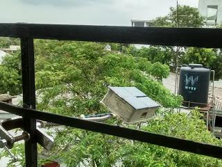 Solar Panel